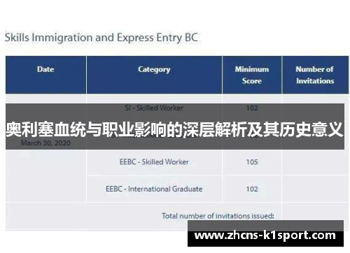 奥利塞血统与职业影响的深层解析及其历史意义 奥利塞血统与职业影响的深层解析及其历史意义