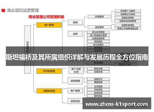 斯坦福桥及其所属组织详解与发展历程全方位指南 斯坦福桥及其所属组织详解与发展历程全方位指南