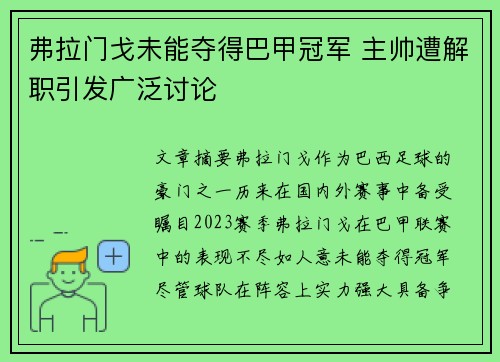 弗拉门戈未能夺得巴甲冠军 主帅遭解职引发广泛讨论 弗拉门戈未能夺得巴甲冠军 主帅遭解职引发广泛讨论